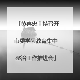 黄喜忠主持召开市委学习教育集中整治工作推进会